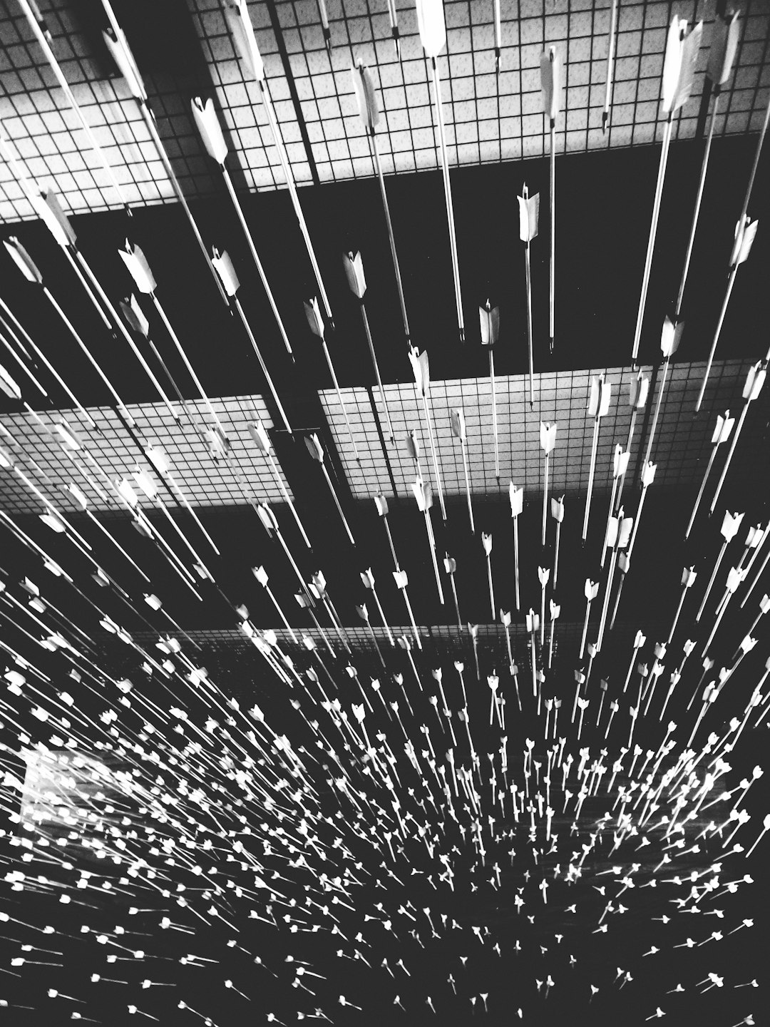 Flock Of Arrows